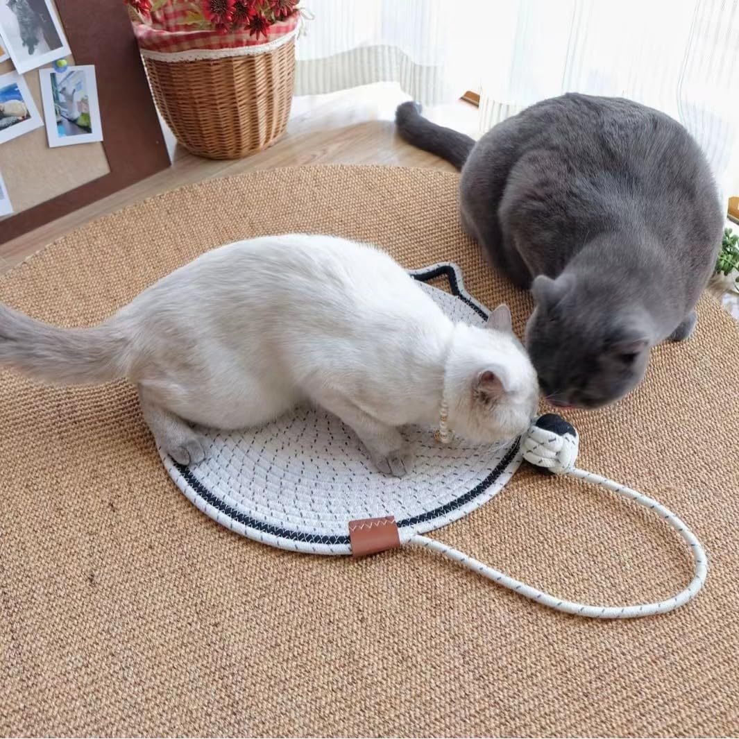 RopeCat Scratching Mat