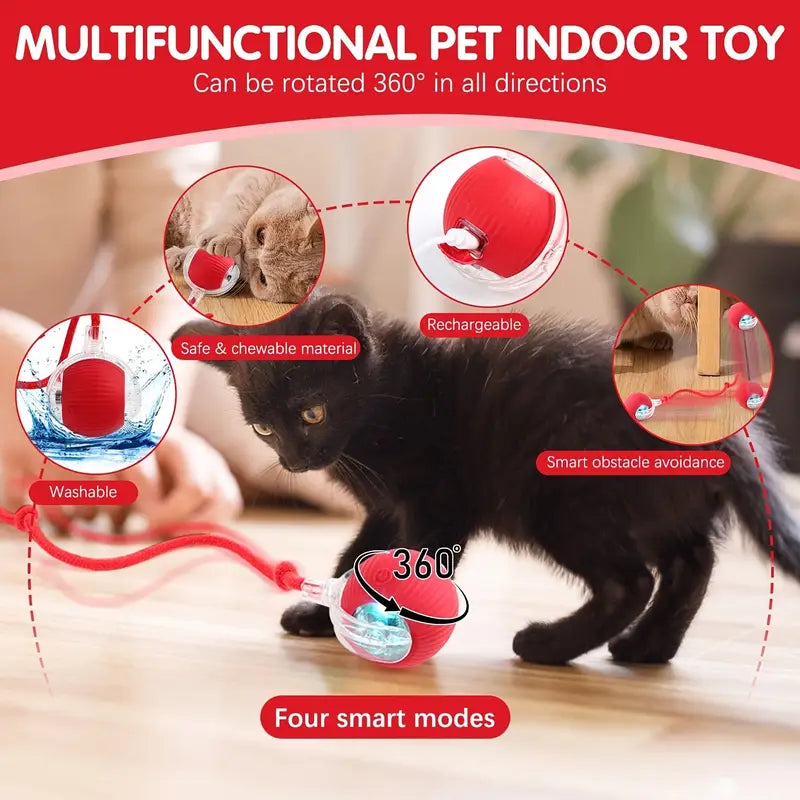 PawMotion Ball - Honden &amp; Katten